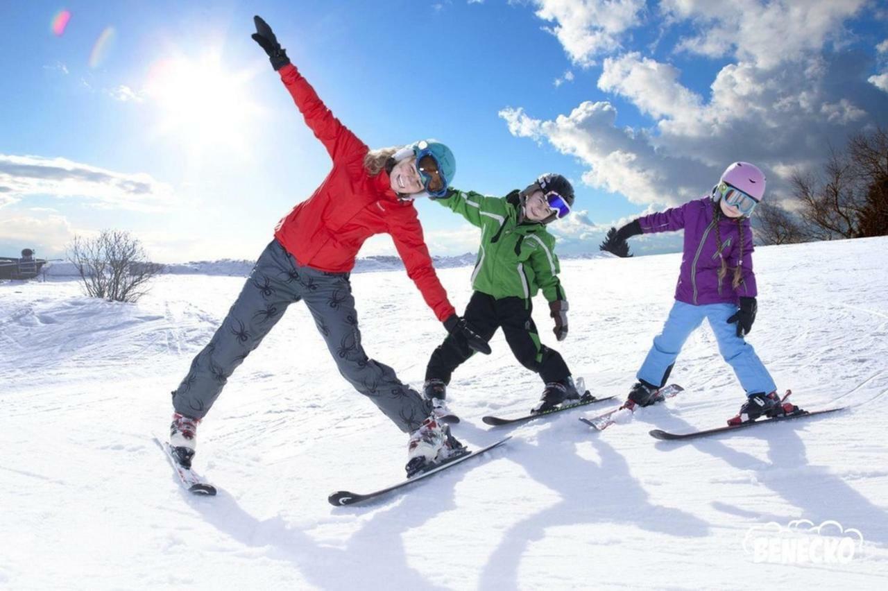 Profamily Hotel Top Benecko Dış mekan fotoğraf